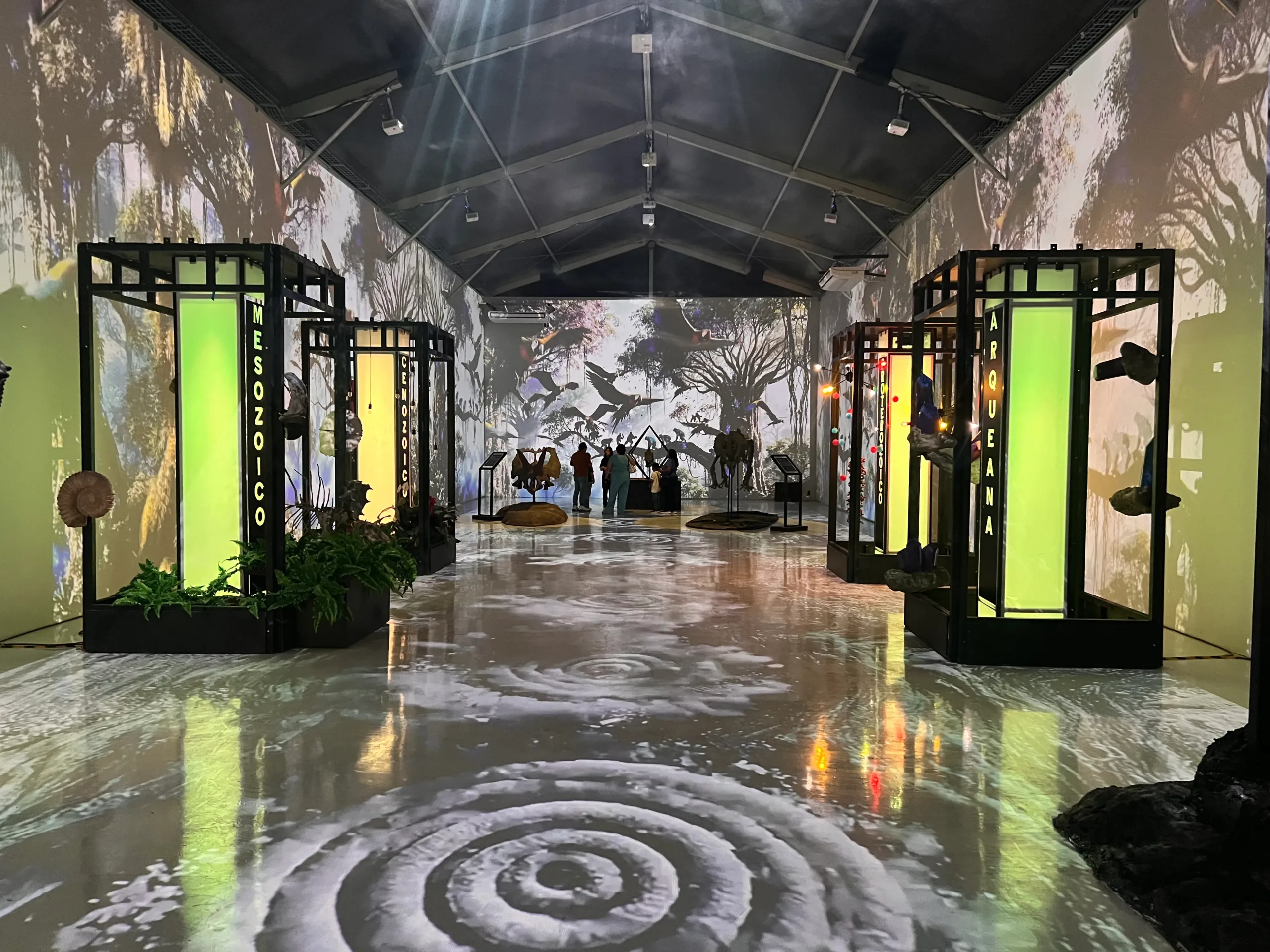 Mitoncondria-museo interactivo cdmx